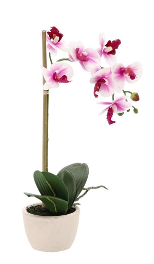 Természetesen élethű virágok és levelek