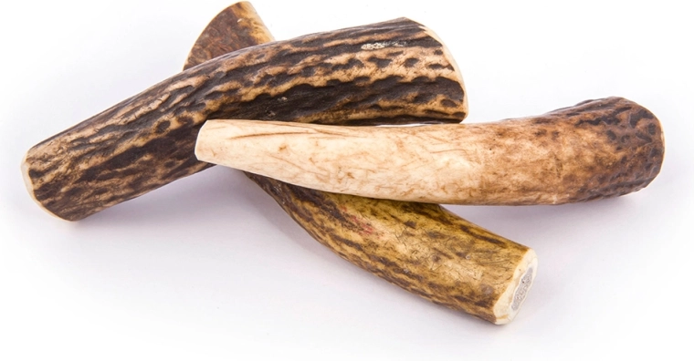 Hosszan tartó rágás szag nélkül