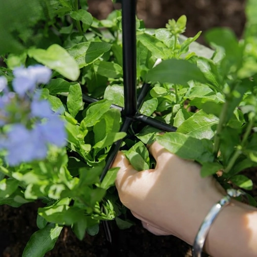 Stabil támasz a bőséges virágzáshoz