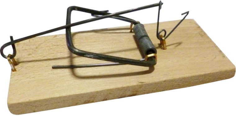 Bükkfából készült fa, lecsapódó egérfogó