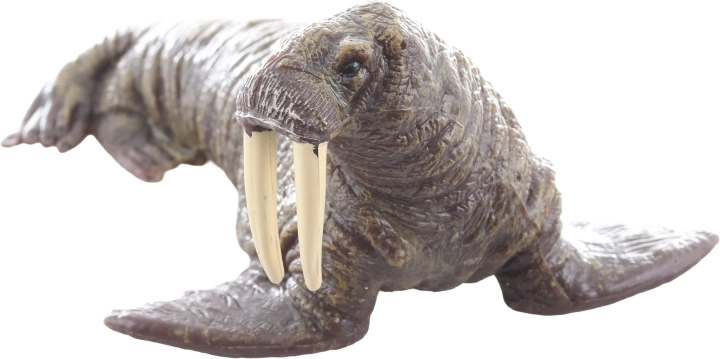 Ideális tanuláshoz és gyűjtéshez is