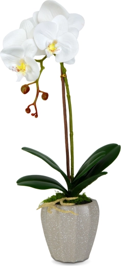 Az orchidea élethű megjelenése