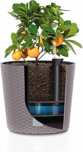 Kényelmes növényápolás kivehető betéttel