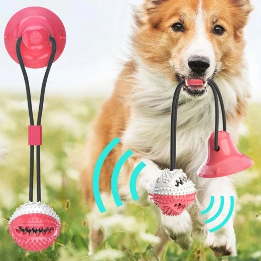 Egészséges fogak és íny minden játék során