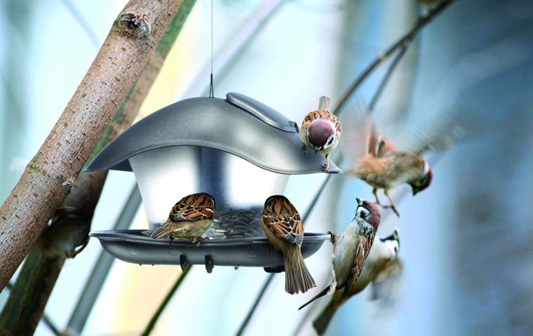 Átlátszó tartály az egyszerű takarmányellenőrzéshez