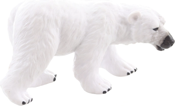 Ideális gyűjteménybe és kiállításra