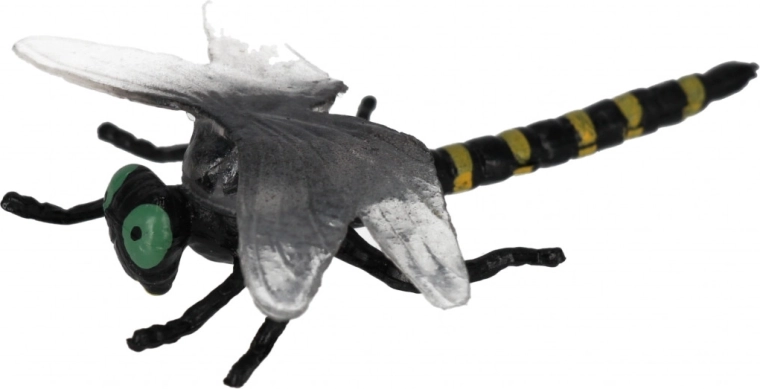 Élethű kivitel a szórakoztató tanulásért