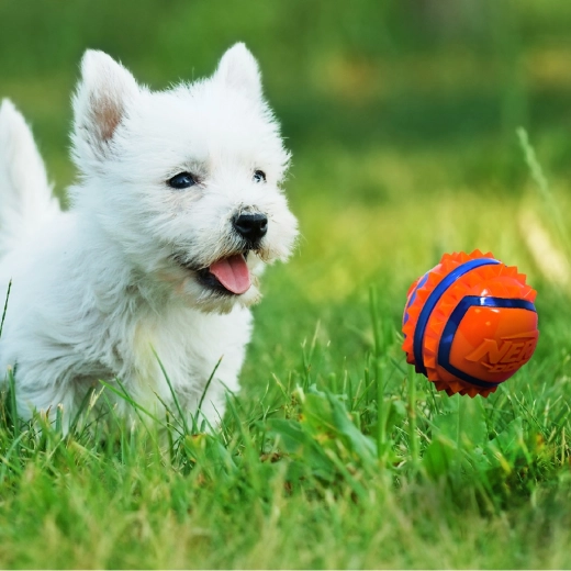 Magas láthatóság szabadtéri játék közben