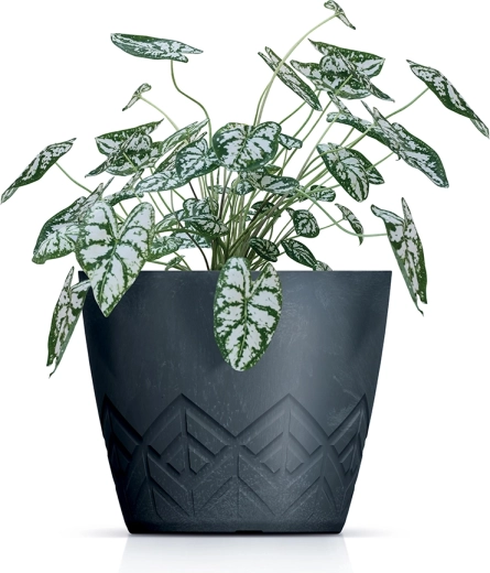 Modern geometrikus design