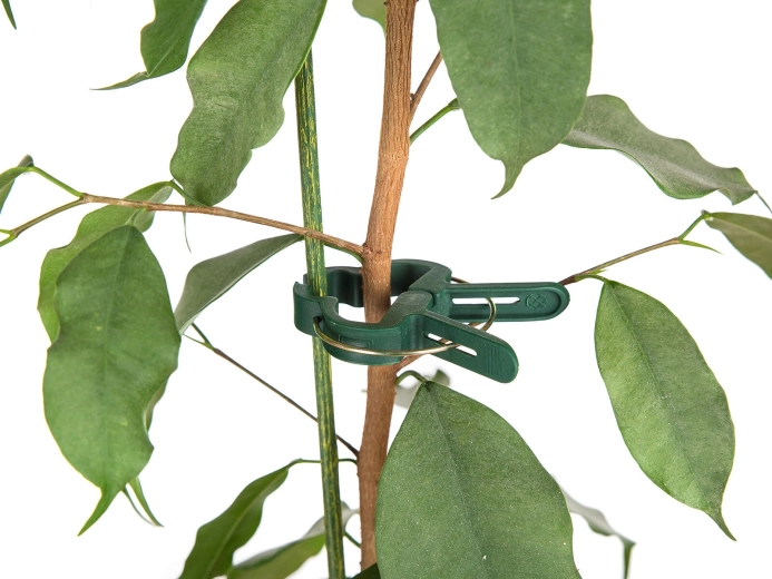 Erős és kíméletes szár­rögzítés