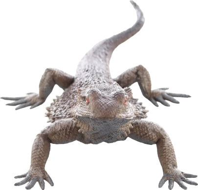 Biztonságos és 3 éves kortól ajánlott