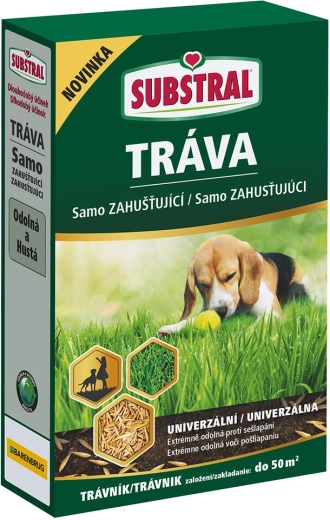 Önmagát sűrítő EVERGREEN gyepkeverék 1 kg