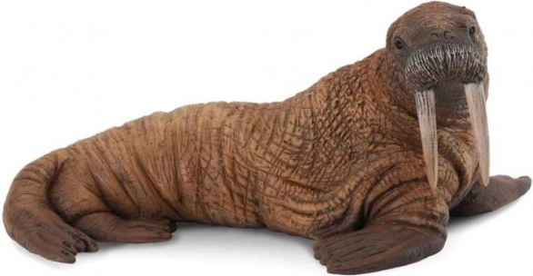 Collecta rozmár figurina