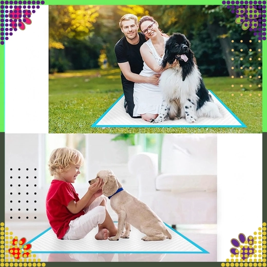 Tisztaság és egyszerű használat