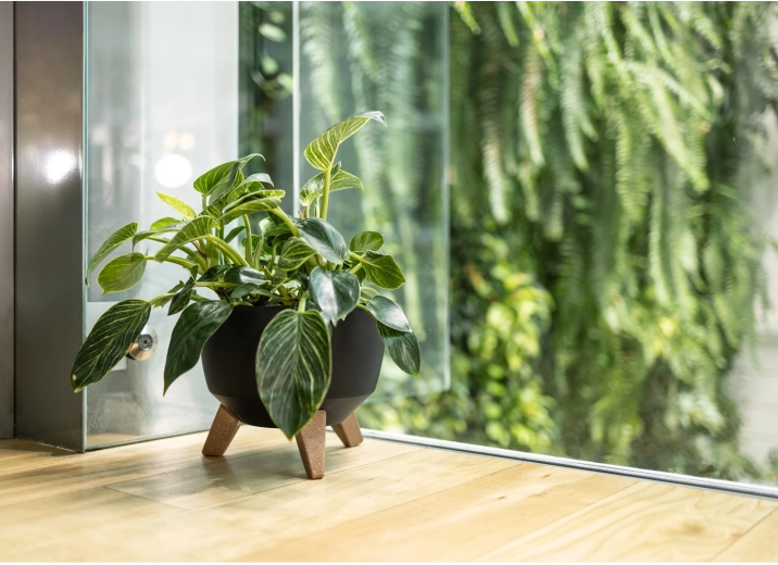 Elegáns megjelenés minden térben