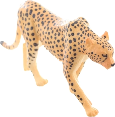 Ideális tanuláshoz és gyűjtéshez