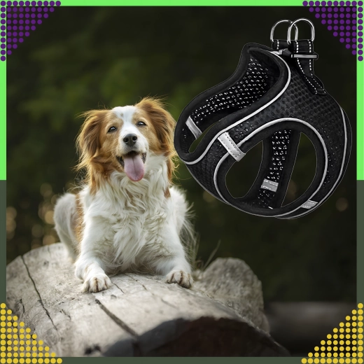 Magas láthatóság a fényvisszaverő elemeknek köszönhetően