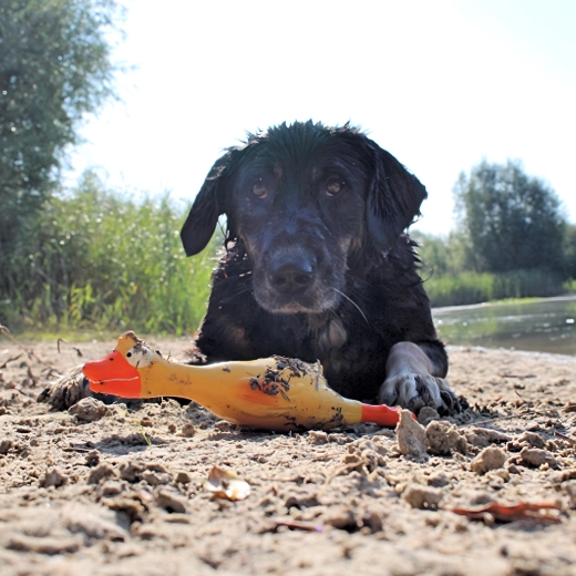 Élénk sárga szín a könnyű megtalálhatóságért