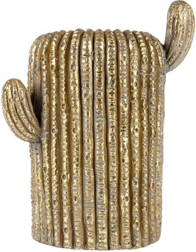 Valósághű kaktusz textúra