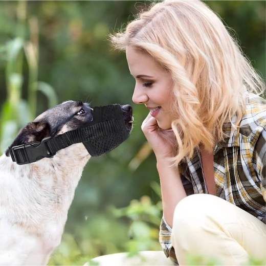 Biztonság edzésen és az állatorvosnál