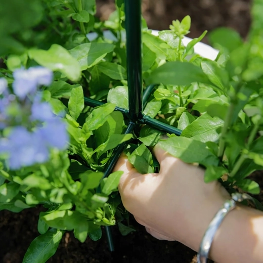 Stabil támasz az egészséges növekedéshez
