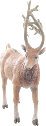 Ideális méret a kis kezekhez