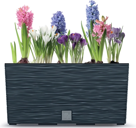 Ideális fűszernövények és virágok ültetéséhez