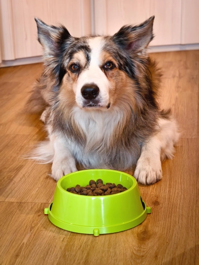 Alkalmas vízhez és eledelhez