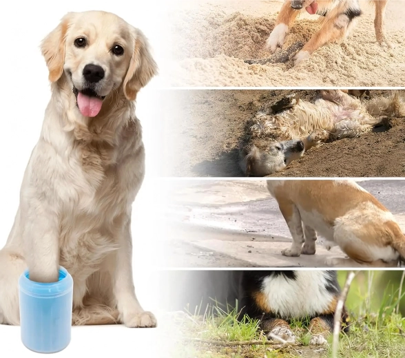 Tiszta autó és padló minden séta után