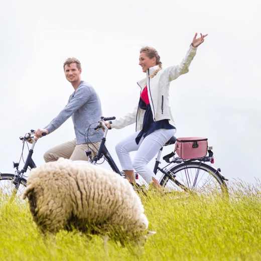 Gyors rögzítés a kerékpárra