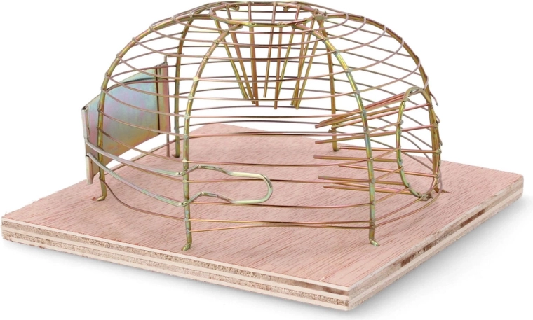 Humánus és biztonságos befogás