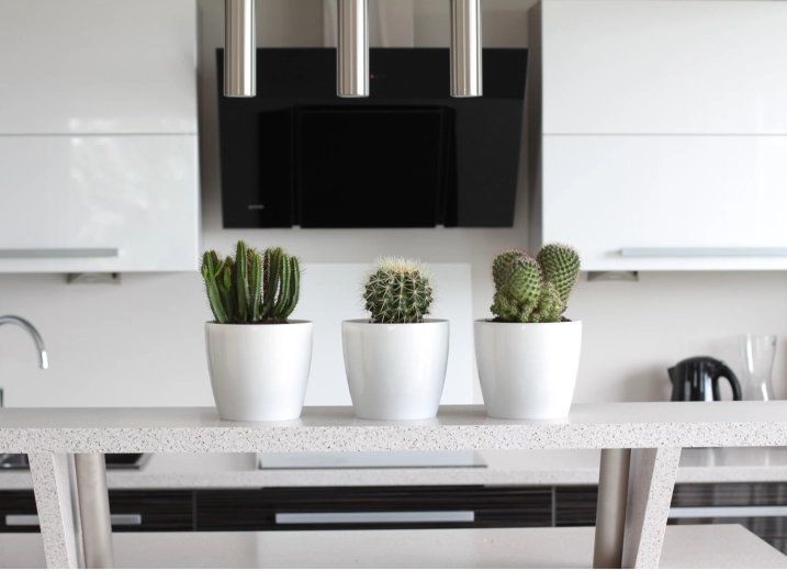 Sokoldalú felhasználás otthon és a szabadban