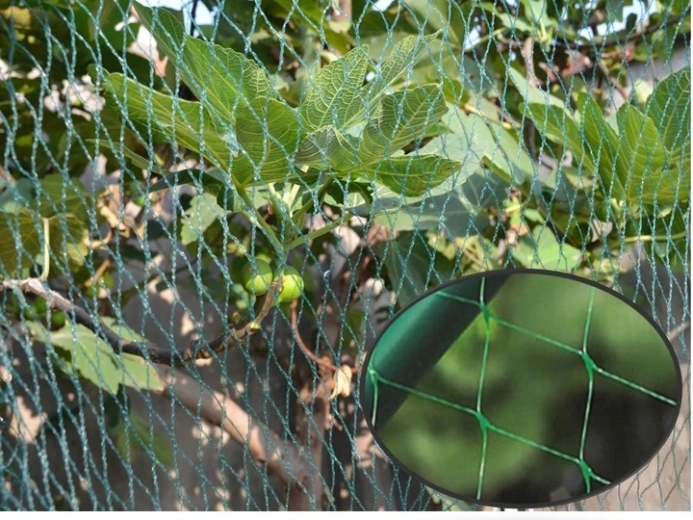 Diszkrét és hatékony védelem a kertben