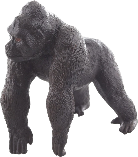 Ideális méret a kis kezekhez