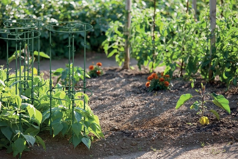 Tartós és észrevétlen az ágyásban