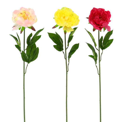 Realista szépség gondozás nélkül