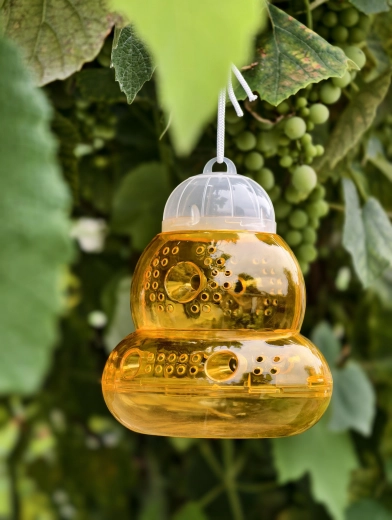 Egyszerű felakasztás bárhová