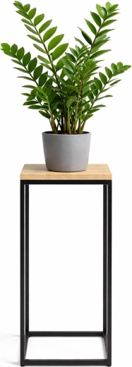 RENEW FORCE virágtartó állvány FOS-TALL 63 cm, 24 × 24 cm
