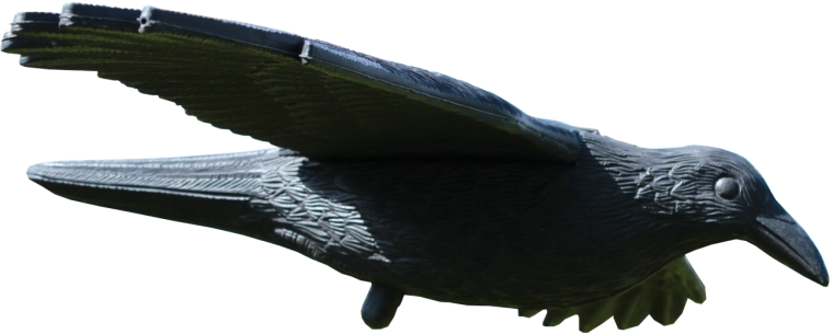 Madarak elriasztója – holló 80 × 44 × 12 cm