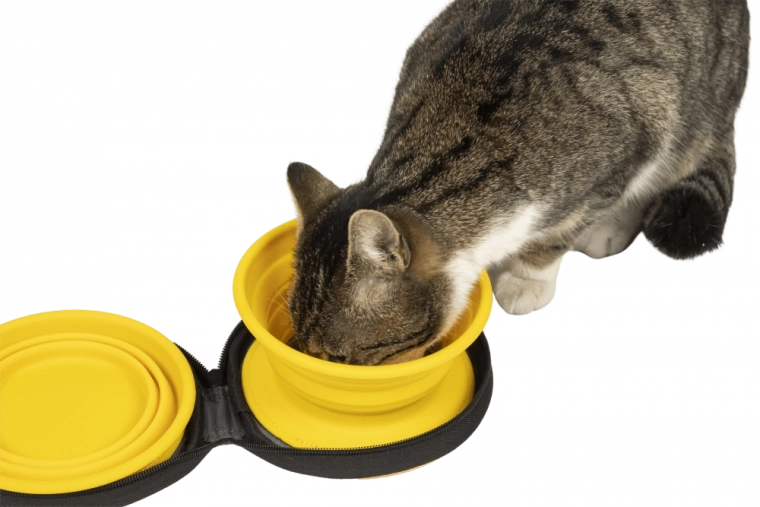 Praktikus cipzáras tok