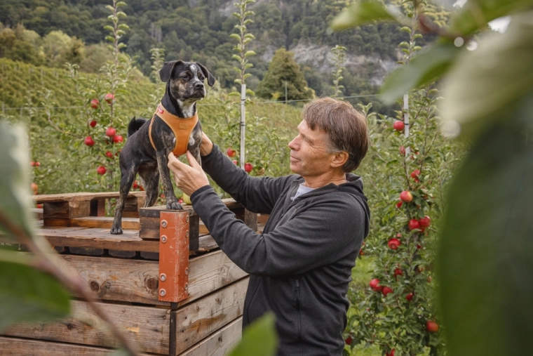 Egykezes, könnyű becsatolás