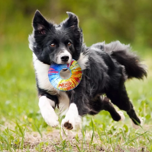 Síp, amely növeli a játék motivációját