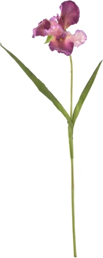 Mű írisz sötétlila 95 cm