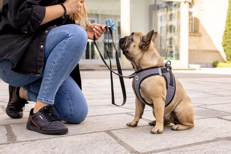 Légáteresztő Air-Mesh és biztonság séta közben