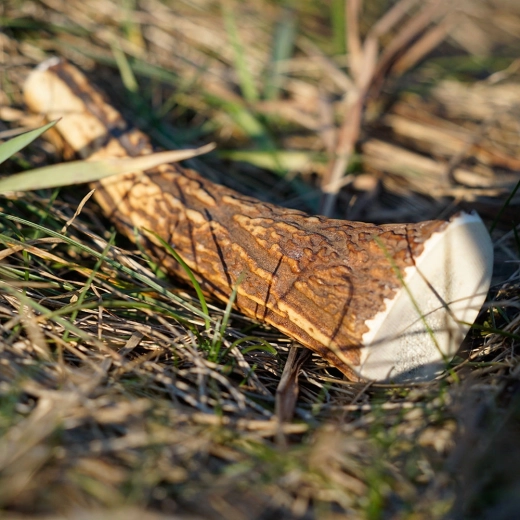 Fenntartható és természetes termék