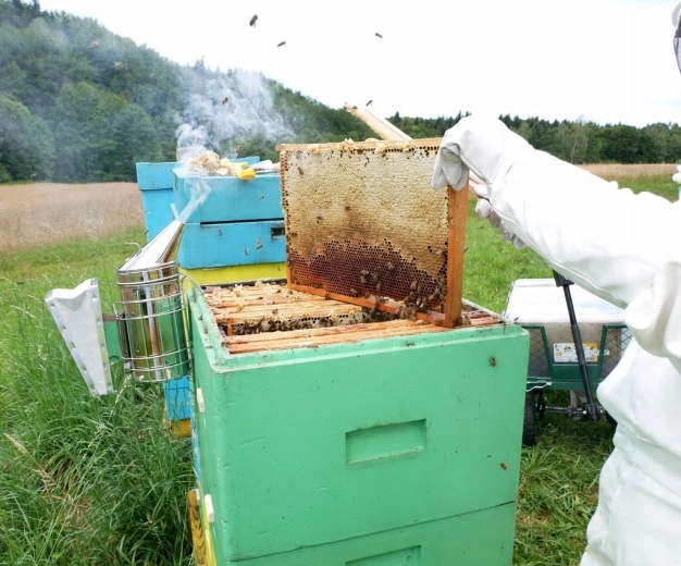 Ideális segítőtárs pergetéskor