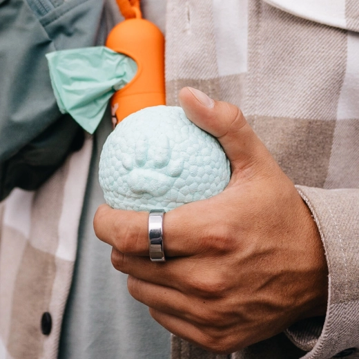 Remek fogás kutyáknak és gazdiknak