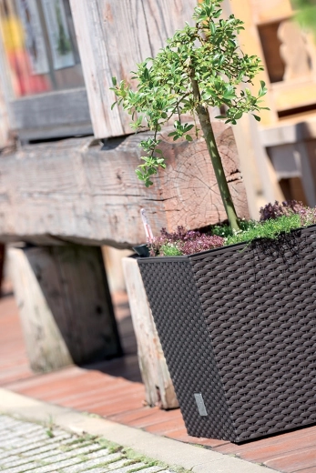 Kényelmes ültetés a kivehető betétnek köszönhetően