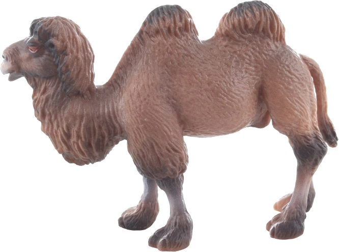 Kompakt méret a könnyű használathoz