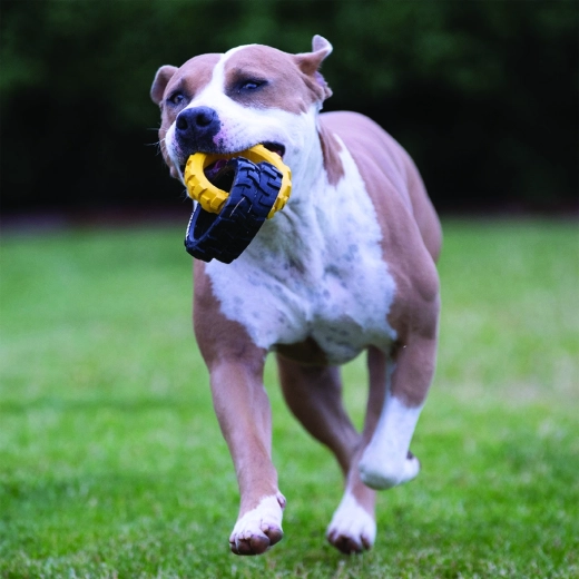 Biztos fogás és jobb kontroll